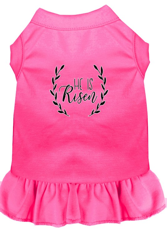 He Is Risen Screen Print Dog Dress Bright Pink XXXL